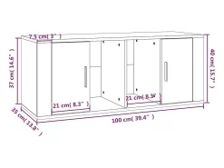 Alfinn Mueble para TV madera contrachapada roble ahumado 100x35x40 cm