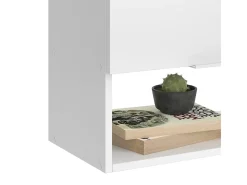 Aparador blanco/sonoma 60x30x100 wido