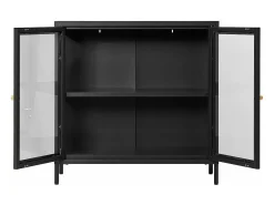 Armario con 2 puertas de cristal, acero negro, 80 x 35 x 80 cm