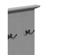 Armario de pasillo BODO con ganchos gris 50x40x157 cm
