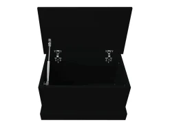 Baúl de almacenaje madera contrachapada negro 50x30x28 cm
