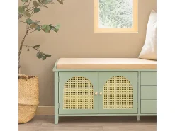 Banco Zapatero con 2 Puertas y 3 cajones Armario Multifuncional para Entrada con cojín 100 x 34 x 46 cm Verde FSR129-GR SoBuy ES