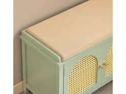 Banco Zapatero con 2 Puertas y 3 cajones Armario Multifuncional para Entrada con cojín 100 x 34 x 46 cm Verde FSR129-GR SoBuy ES
