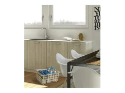 DON HIERRO - Cesta metálica de ordenación con asa, tamaño semi grande, multifuncional y decorativa, ZESTA-