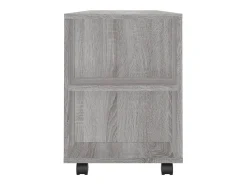 Elli Mueble de TV madera de ingeniería gris Sonoma 102x34,5x43 cm