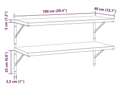 Estantes de pared 2 uds 100x40 cm acero inoxidable negro