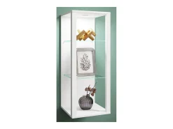 Estuche de exhibición de pared Glasol