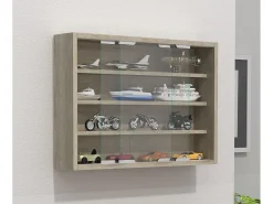 Gabinete de exhibición de pared Agisa