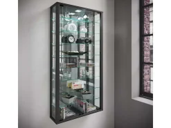 Gabinete de exhibición de pared Vitrosa
