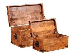 Juego de cofres de almacenamiento 2 uds madera de mango rugosa