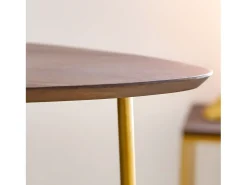 Mesa auxiliar contemporánea Léon de madera de mango y metal dorado