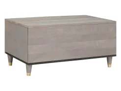 Mesa de Café Gris 80 x 50 x 40 cm madera maciza de mango