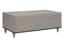 Mesa de Café Gris 100 x 54 x 40 cm madera maciza de mango