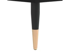 Mesa de centro madera de ingeniería negro 60x60x30 cm