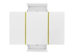 Mesa de centro rectangular 100x60x41,5cm con 2 cajones, cuerpo en laca blanca con detalles dorados
