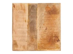 Mesas auxiliares Marrón 40 x 40 x 49 cm madera maciza de mango