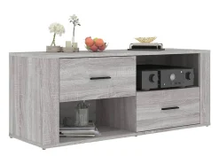 Mueble de TV madera contrachapada gris Sonoma 100x35x40 cm