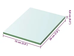 Panel de estante Vidrio transparente 20 x 15 cm