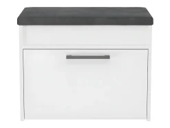 PARMI - Mueble de entrada zapatero estilo escandinavo - 60x35x49 - Banco con almacenaje