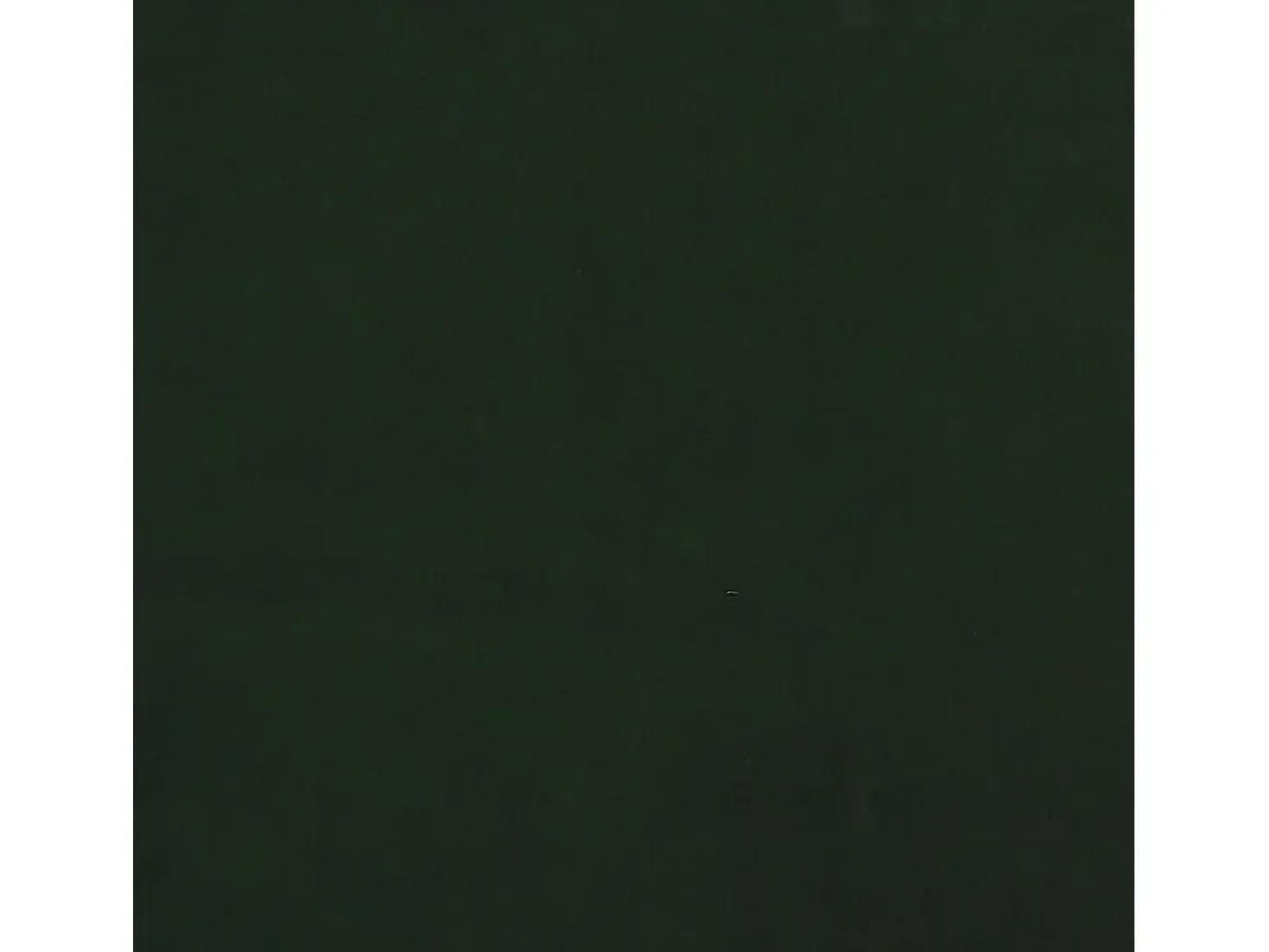 Sofá cama de 2 plazas terciopelo verde oscuro