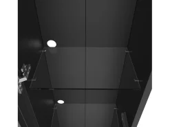 Vitrina 40×29×170 cm - iluminación LED multicolor con mando - divisiones de cristal - negro