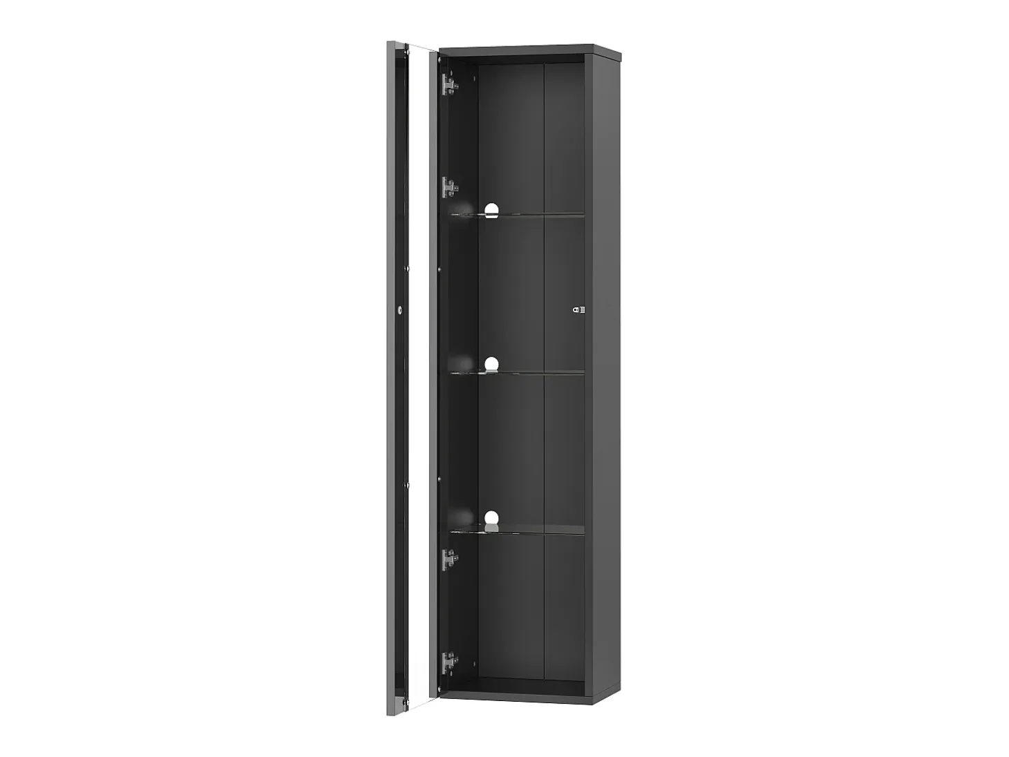 Vitrina 40×29×170 cm - iluminación LED multicolor con mando - divisiones de cristal - negro