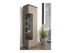 Vitrina 1 puerta NESS – Acabado Congo & Antracita – LED blanco neutro – 10 nichos diseño
