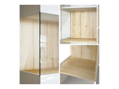 Vitrina Cómoda Morena, cuerpo en negro mate/ puerta derecha e inserción en blanco de alto brillo