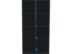 Vitrina con iluminación LED y 2 puertas de cristal - Estantes ajustables - Negra