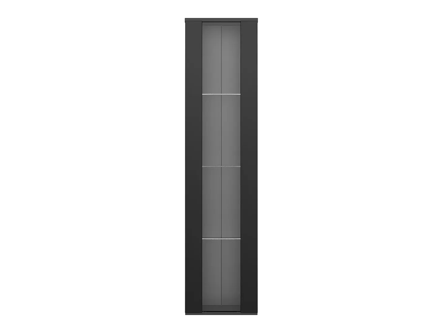 Vitrina con puerta acrílica e iluminación LED - estantes de cristal - Negro 40 x 29 x 170 cm