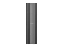 Vitrina con puerta acrílica e iluminación LED - estantes de cristal - Negro 40 x 29 x 170 cm
