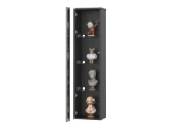 Vitrina con puerta acrílica e iluminación LED - estantes de cristal - Negro 40 x 29 x 170 cm