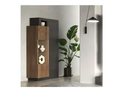 Vitrina de 2 puertas colección DOMI. Color gris antracita y roble oscuro