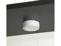 Vitrina de cristal - Vitrina de colección con puertas - Iluminación LED - 2 puertas, 4 estantes - 80,5×36,5×164 cm - Negro