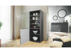 Vitrina Granada de Vladon, Armario Vitrina Made in Germany con Puerta de Cristal e Inserto de Cristal, antracita mate/gris de alto brillo (50 x 122,5 x 34,5 cm)