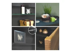 Vitrina Granada de Vladon, Armario Vitrina Made in Germany con Puerta de Cristal e Inserto de Cristal incl. LED, antracita mate/roble natural (50 x 122,5 x 34,5 cm)