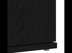 Zapatero de Roble Negro 80x39x180 cm Madera Reconstituida
