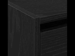 Zapatero de roble negro 60x21x57 cm Madera de ingeniería