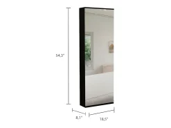 Zapatero Leto Montable en Pared con Espejo, Estilo Moderno y con Espacio , 137.92 cm X 46.99 cm X 20.57 cm , Negro