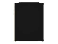 Zapatero negro 100x35x45 cm Madera de ingeniería